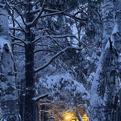 Photo #8750373