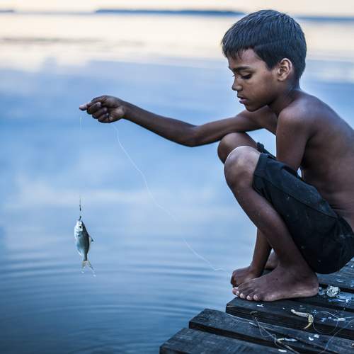 Photo #8750483