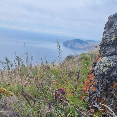 Photo #8750547