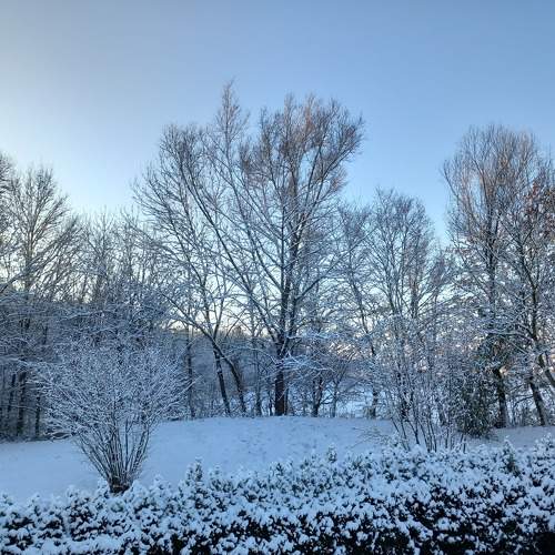Photo #8750619