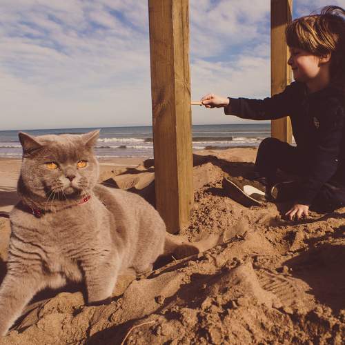 Photo #8750753