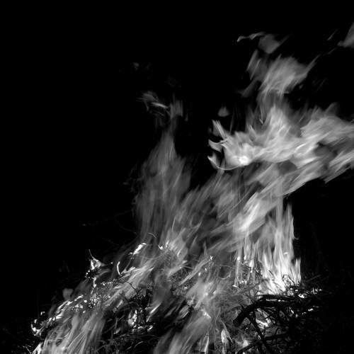 Photo #8750758