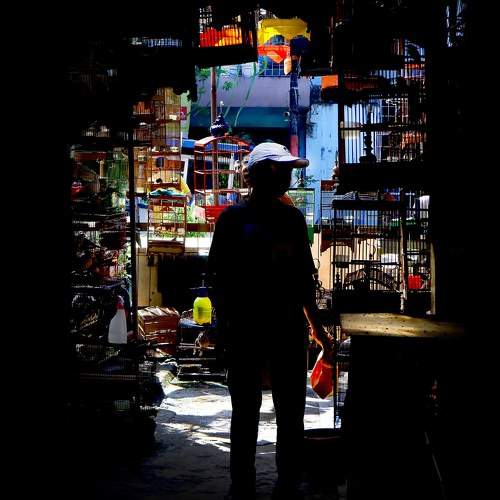Photo #8750773