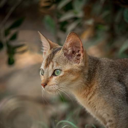 Photo #8750881