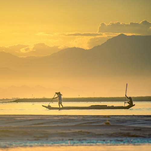 Photo #8750908
