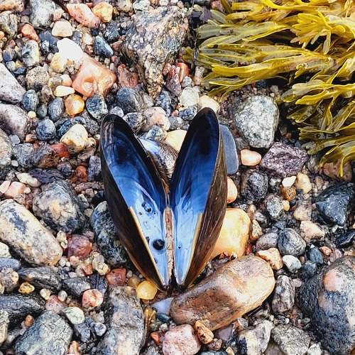 Photo #8750973