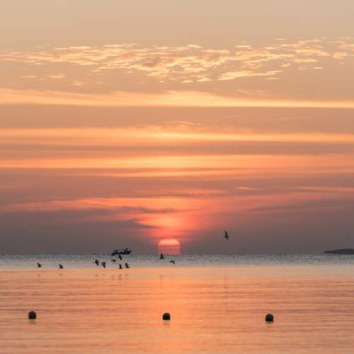 Photo #8751005