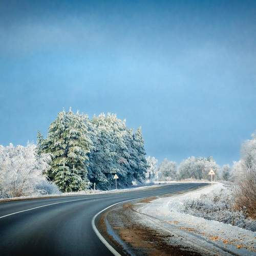 Photo #8751169