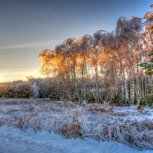 Photo #8751170