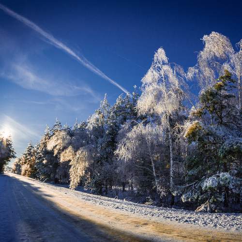 Photo #8751179