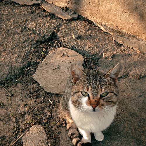 Photo #8751291