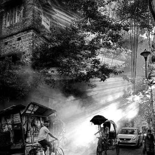 Rays