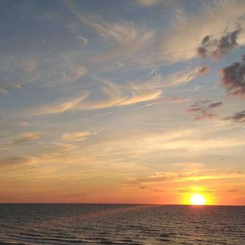 Photo #8751793