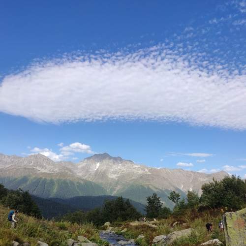 Photo #8751866