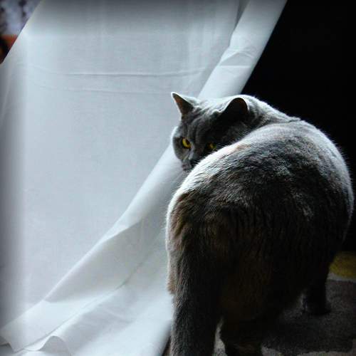 Photo #8751970