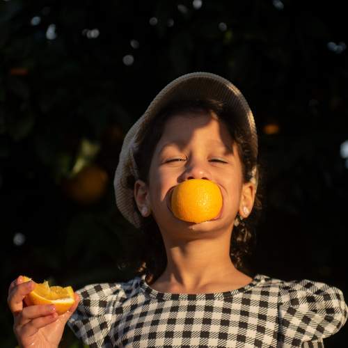Photo #8751986