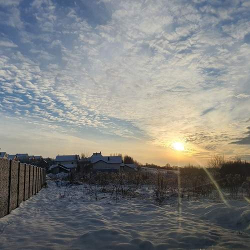 Photo #8752013