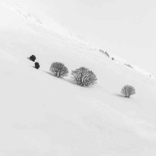 Photo #8752394