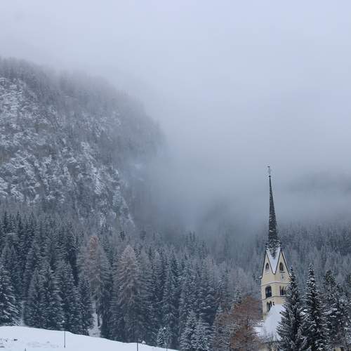 Photo #8752462