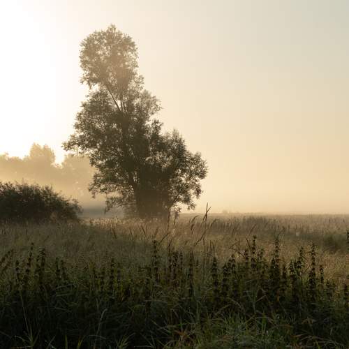 Photo #8752962