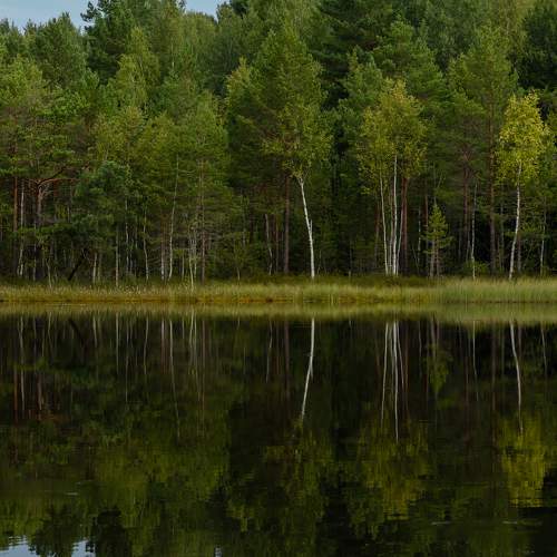Photo #8752976