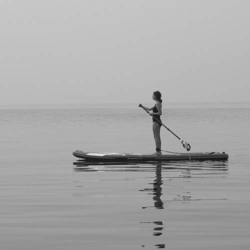 Photo #8753324