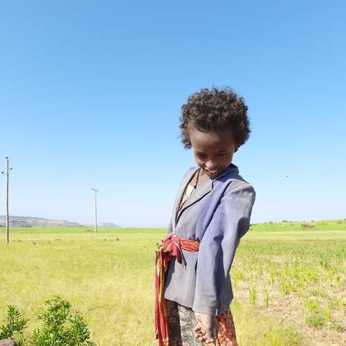 Photo #8753326