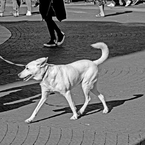 Photo #8753456