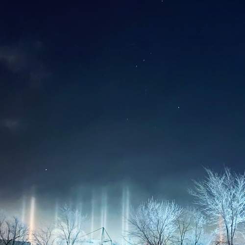 Photo #8753490