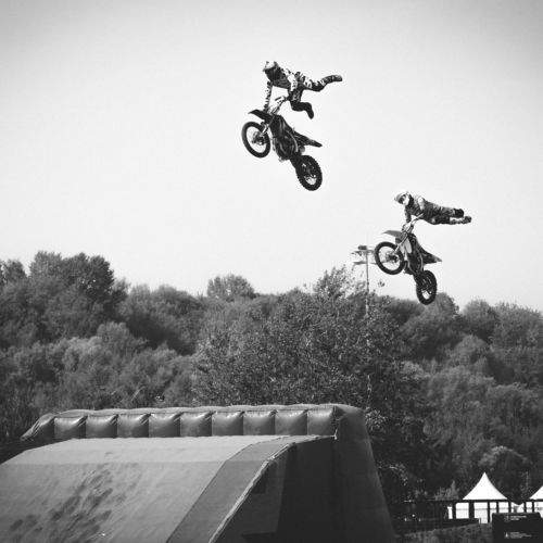 Photo #8753548