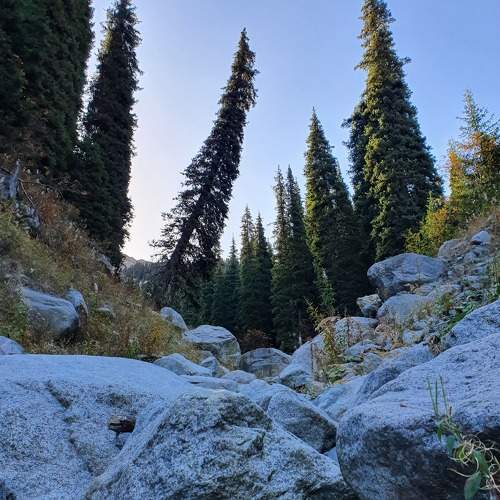 Photo #8753867