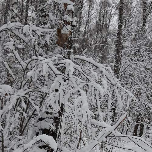 Photo #8753998