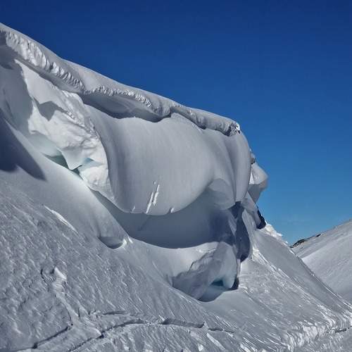 Photo #8754002