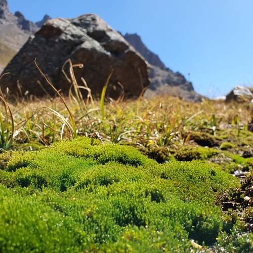 Photo #8754043