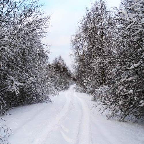 Photo #8754484