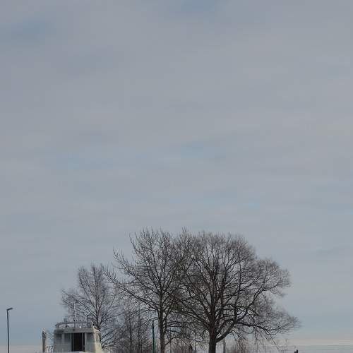 Photo #8754491