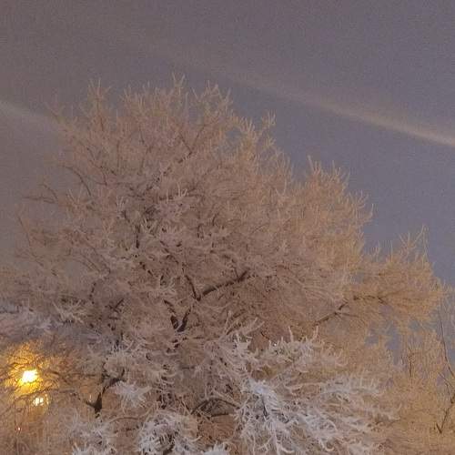 Крепко держится снежок