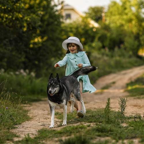 Photo #8754627