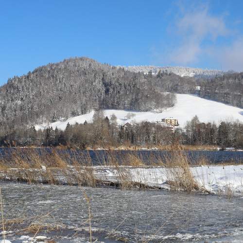 Photo #8754658