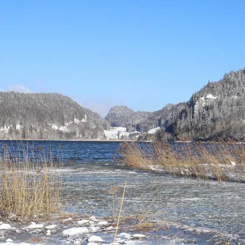 Photo #8754666