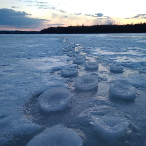 Photo #8754707