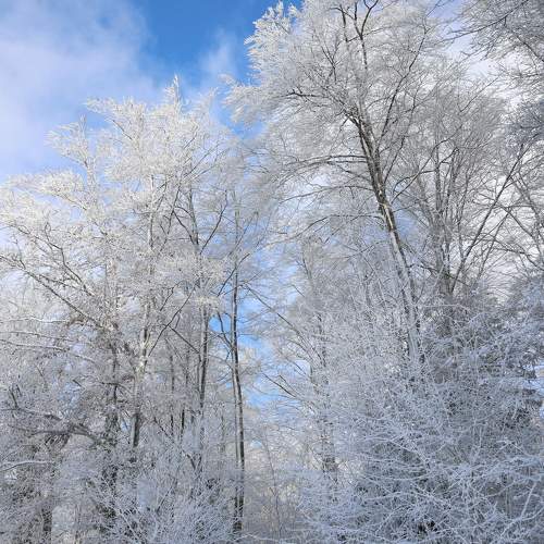 Photo #8754730