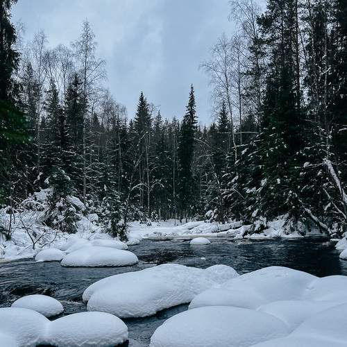 Photo #8755155