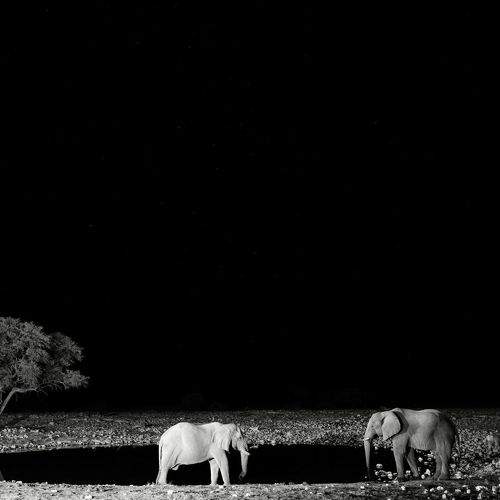 Photo #8755692
