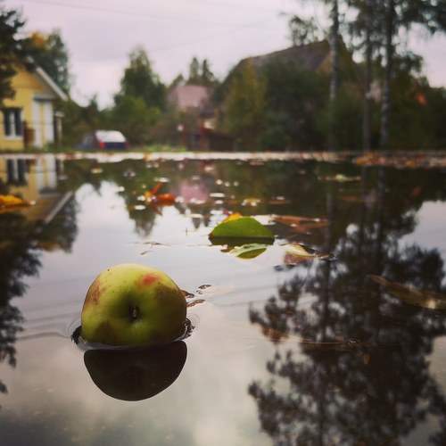 Photo #8755958