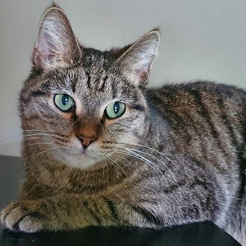 Photo #8756020