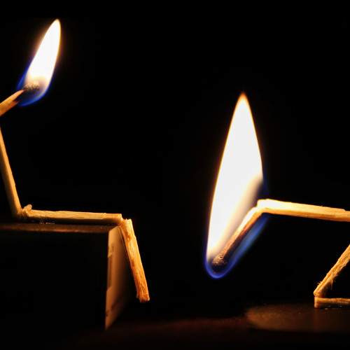 Photo #8756224