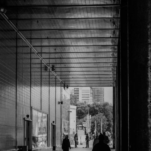 Photo #8756346