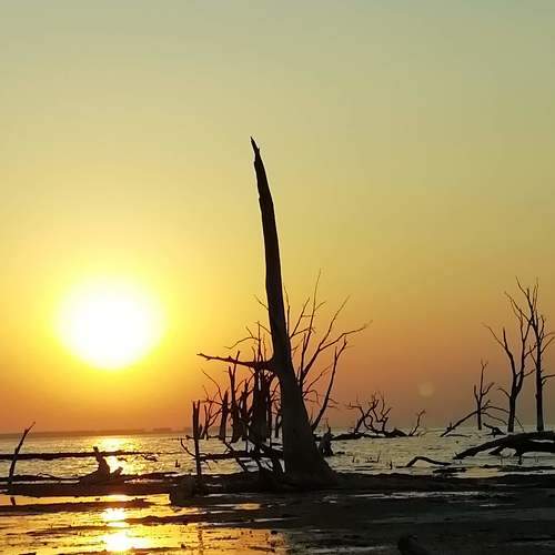 Photo #8756456