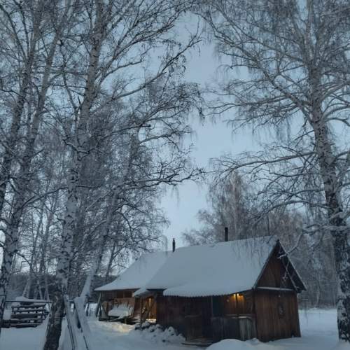 Photo #8756457
